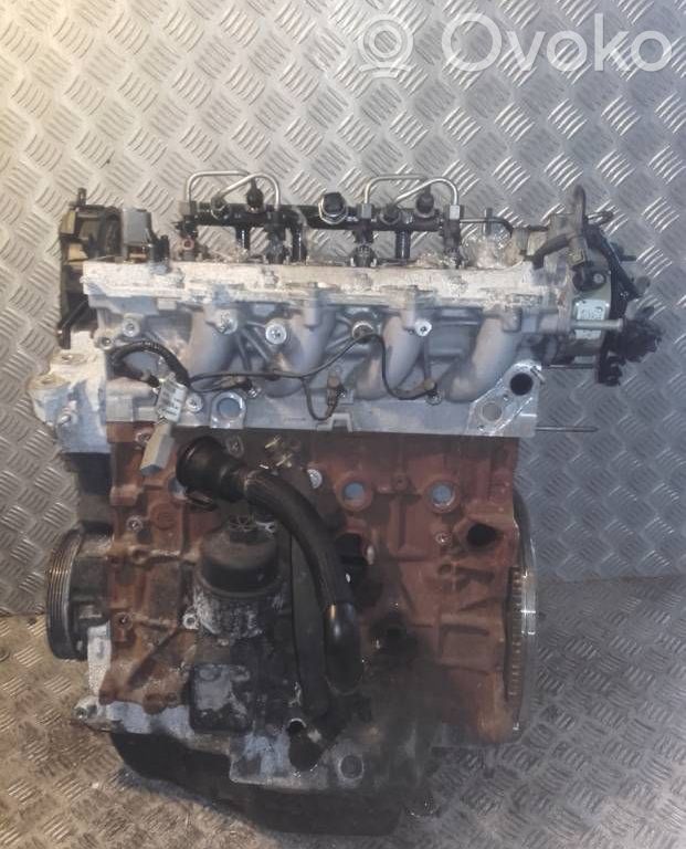Ford Focus Motor 