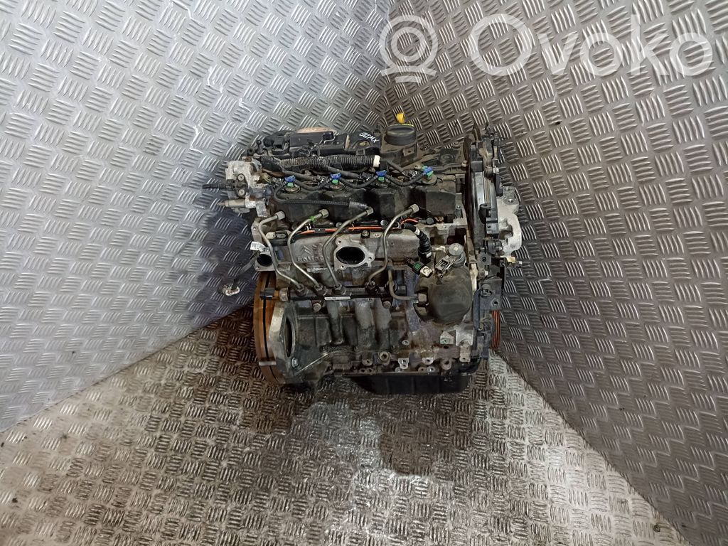 Ford Focus Motor 