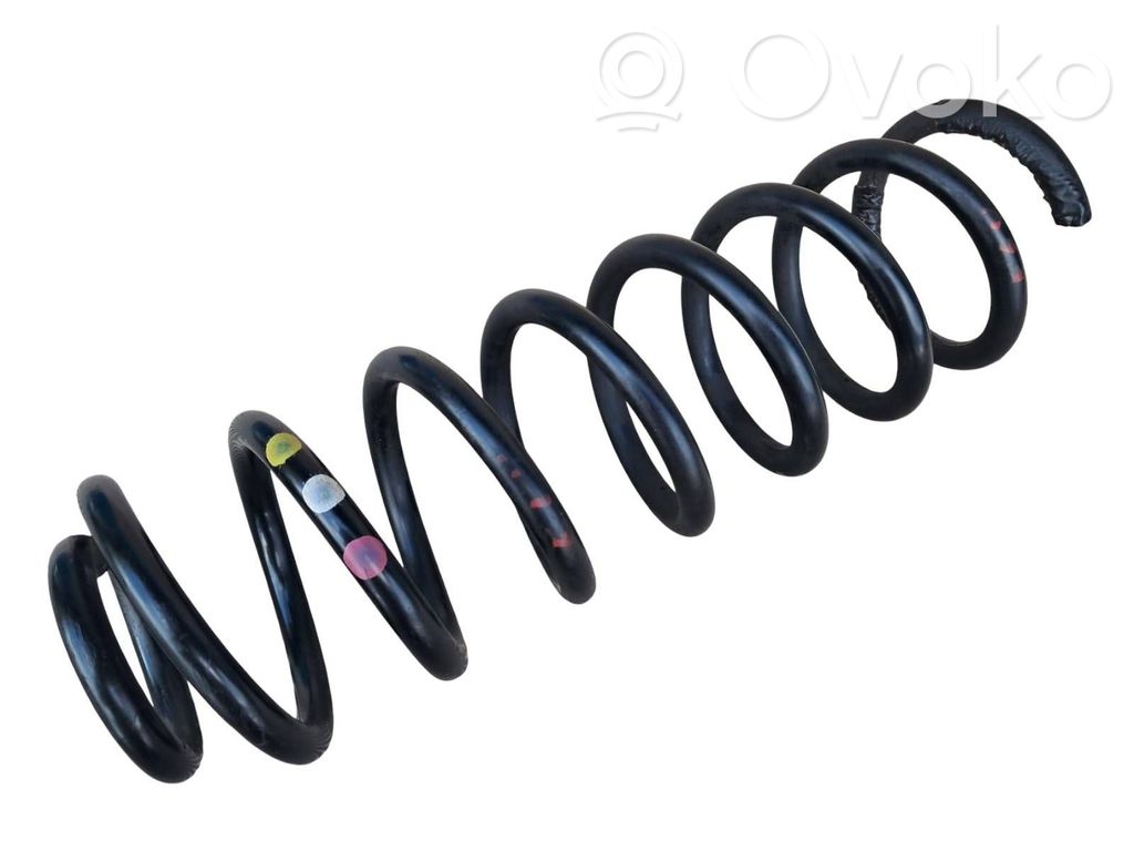 Rear coil spring