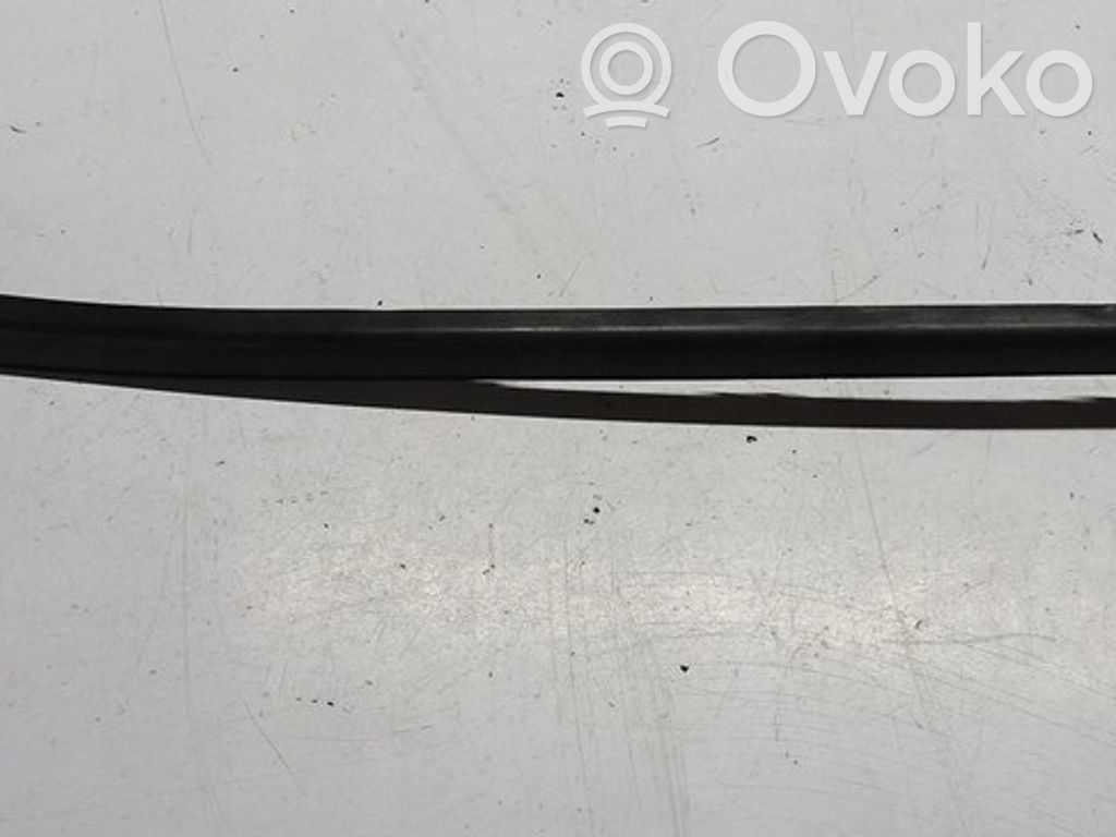 Citroen DS4 Windshield trim 