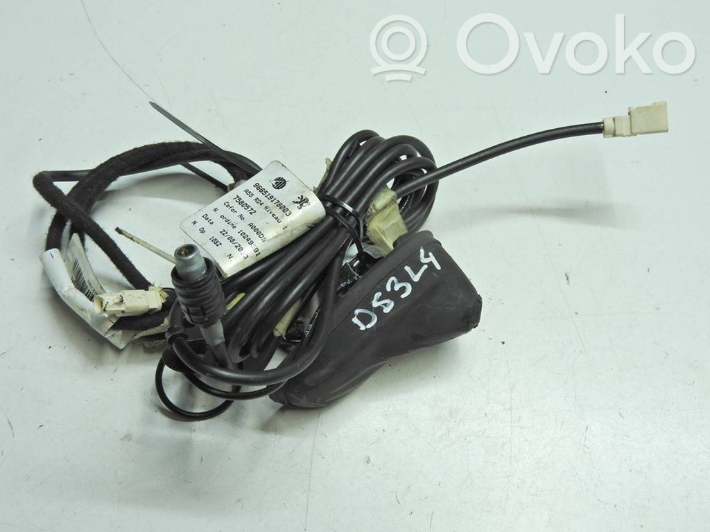 Citroen DS3 Radion antenni 