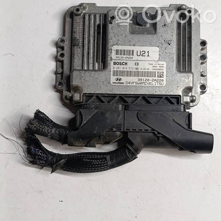 Engine control unit/module   391202A220,0281019572,391252A220