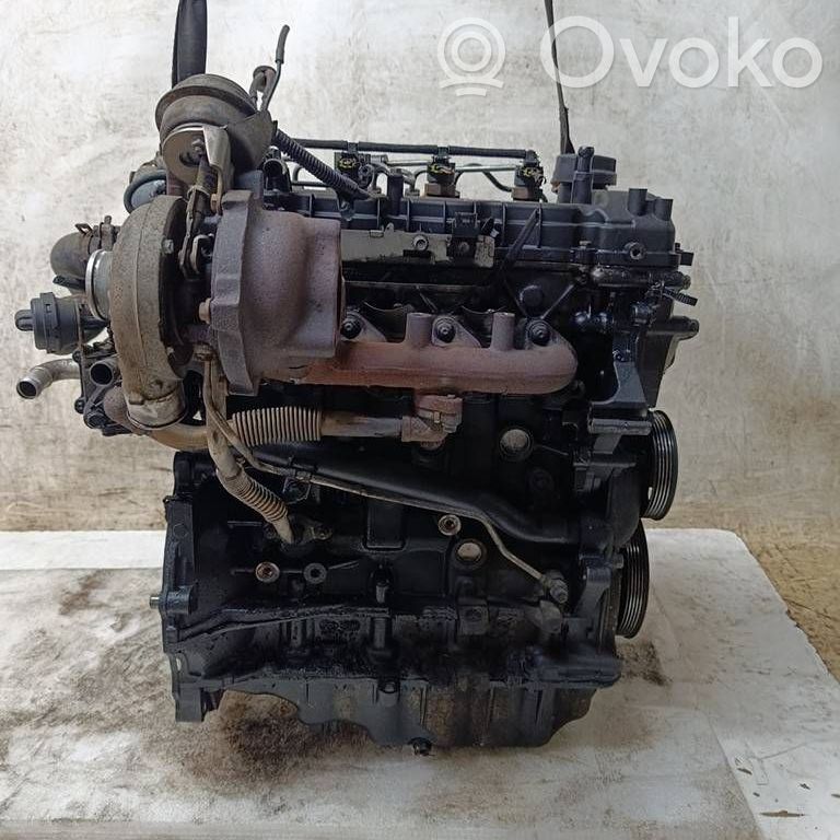 Variklis   D4FD