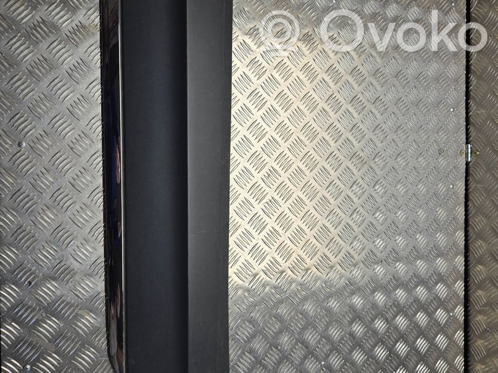 Volkswagen Tiguan Front door trim (molding) 