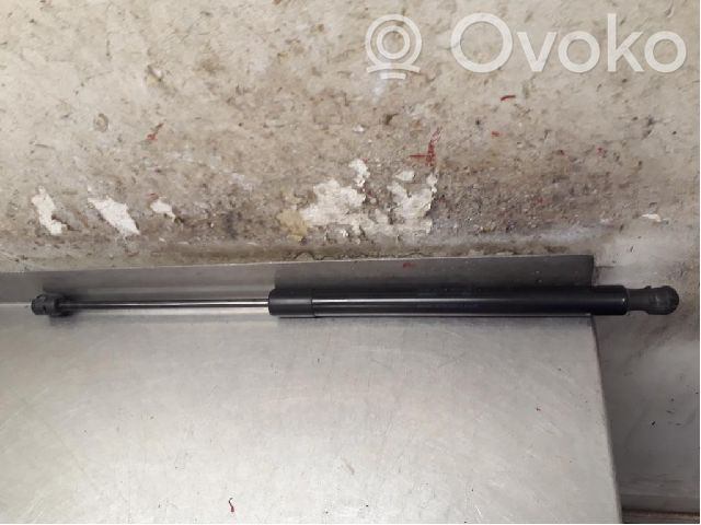 Volkswagen Tiguan Tailgate strut 