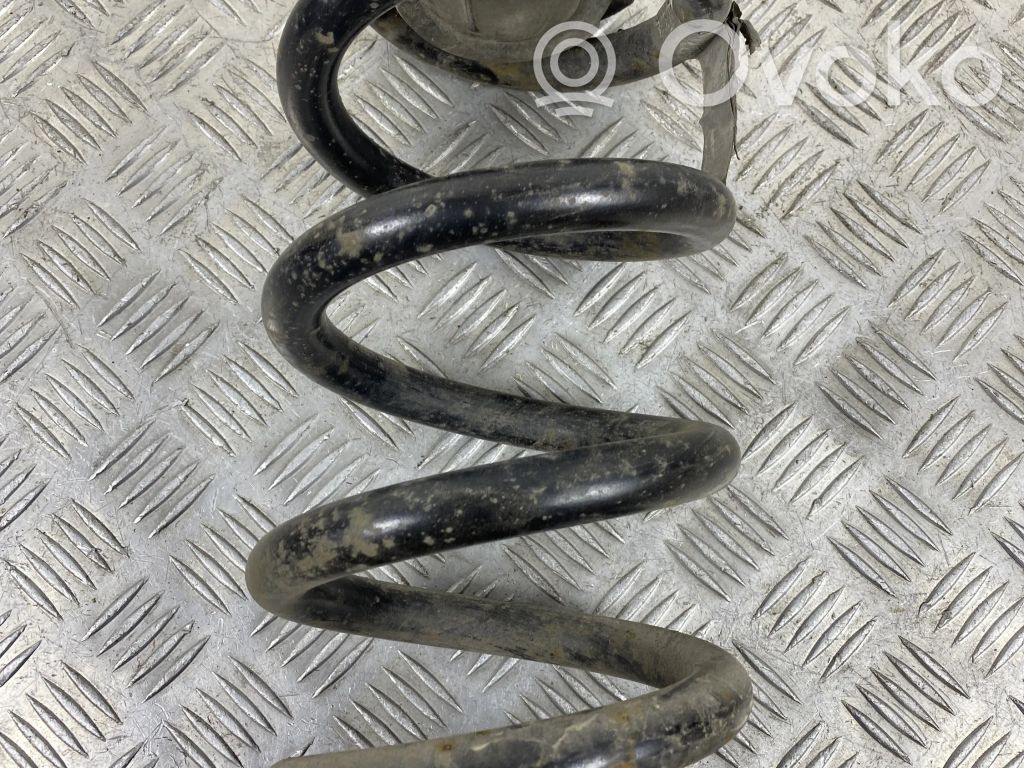Rear coil spring
