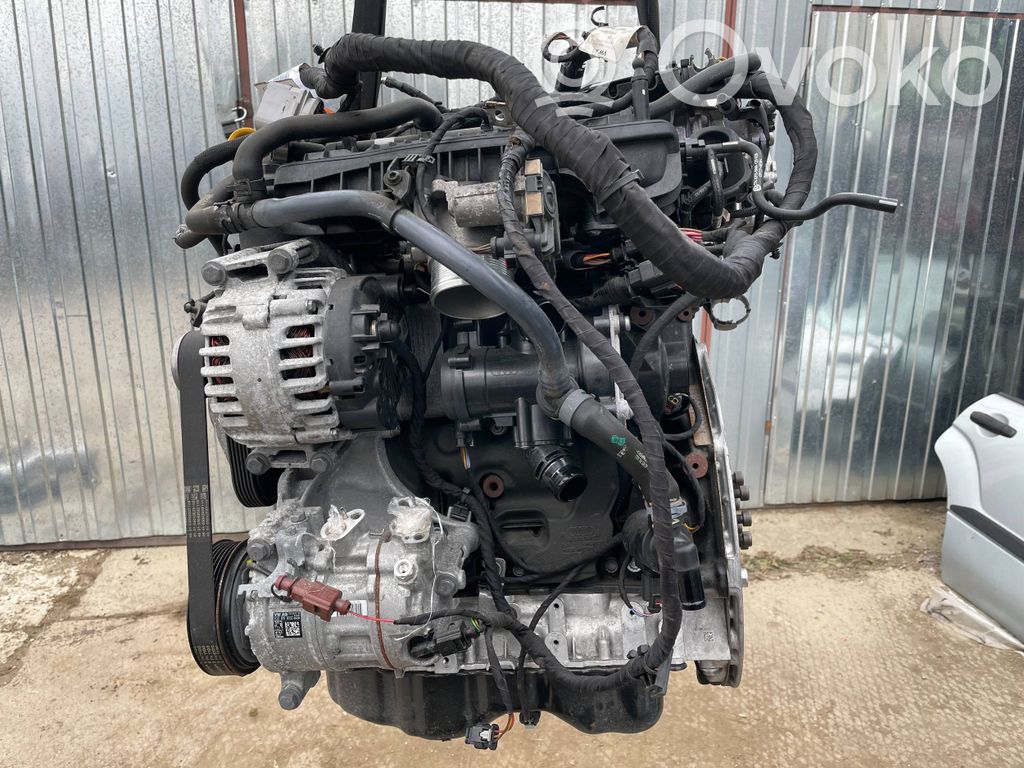 Engine   DNP