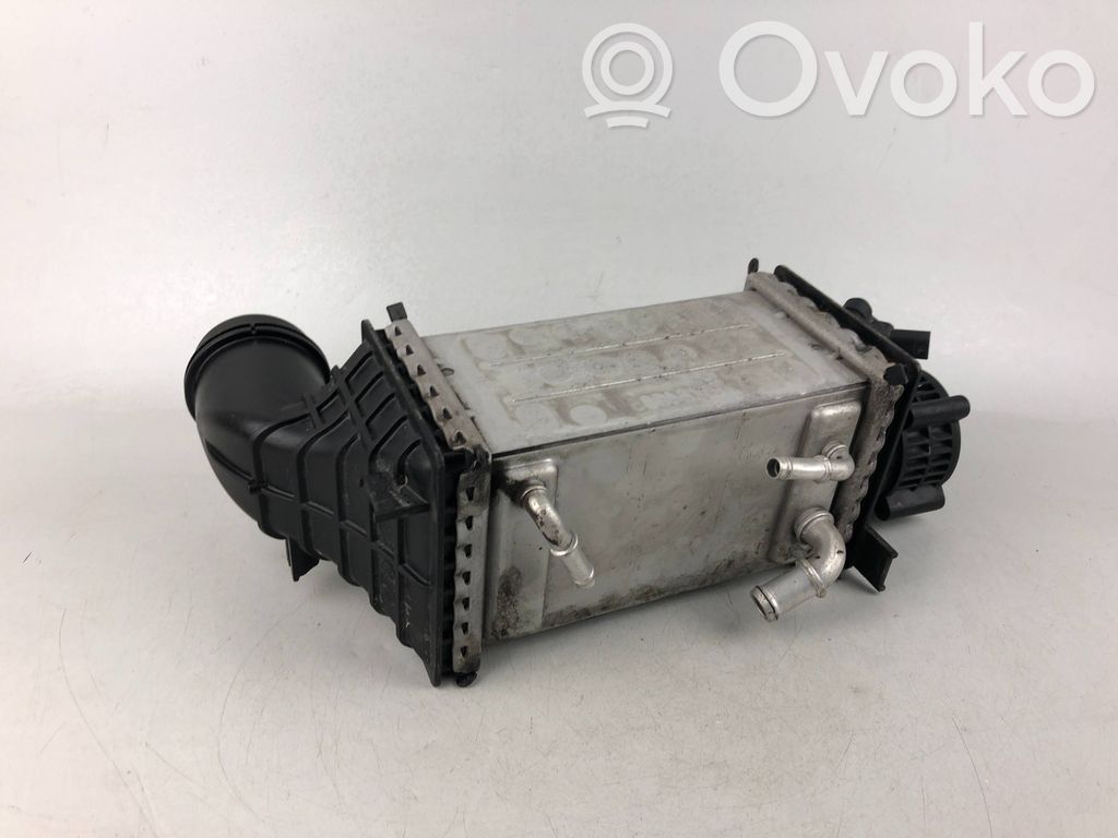 Volkswagen Tiguan Radiador intercooler 
