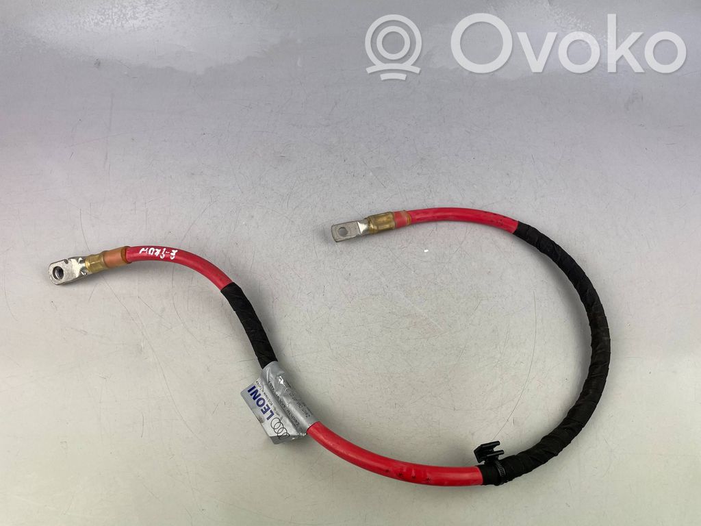 Audi e-tron Pluskabel Batterie 