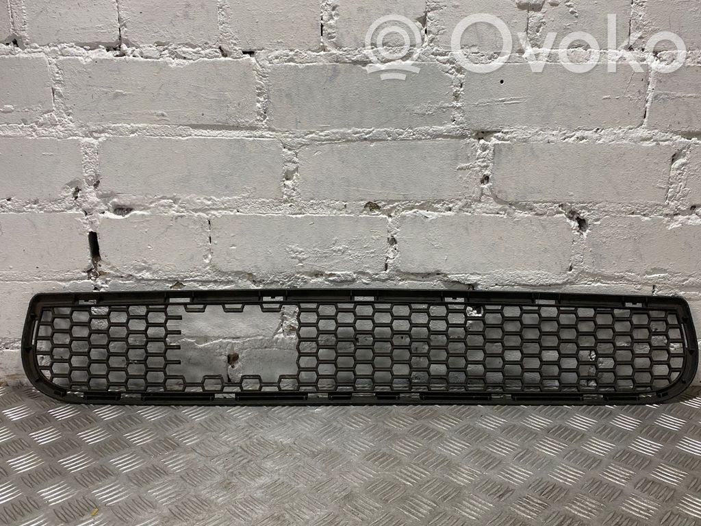 BMW X5 E70 Front bumper lower grill 