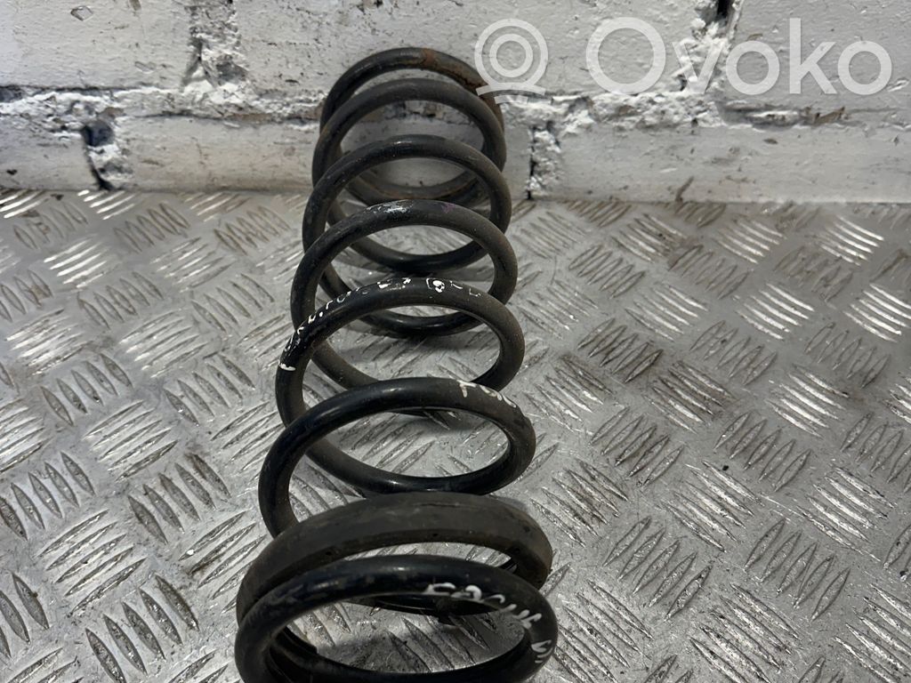 Rear coil spring
