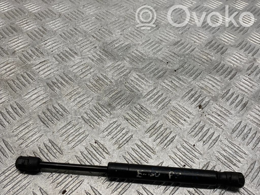 Tailgate/trunk strut/damper   7148826