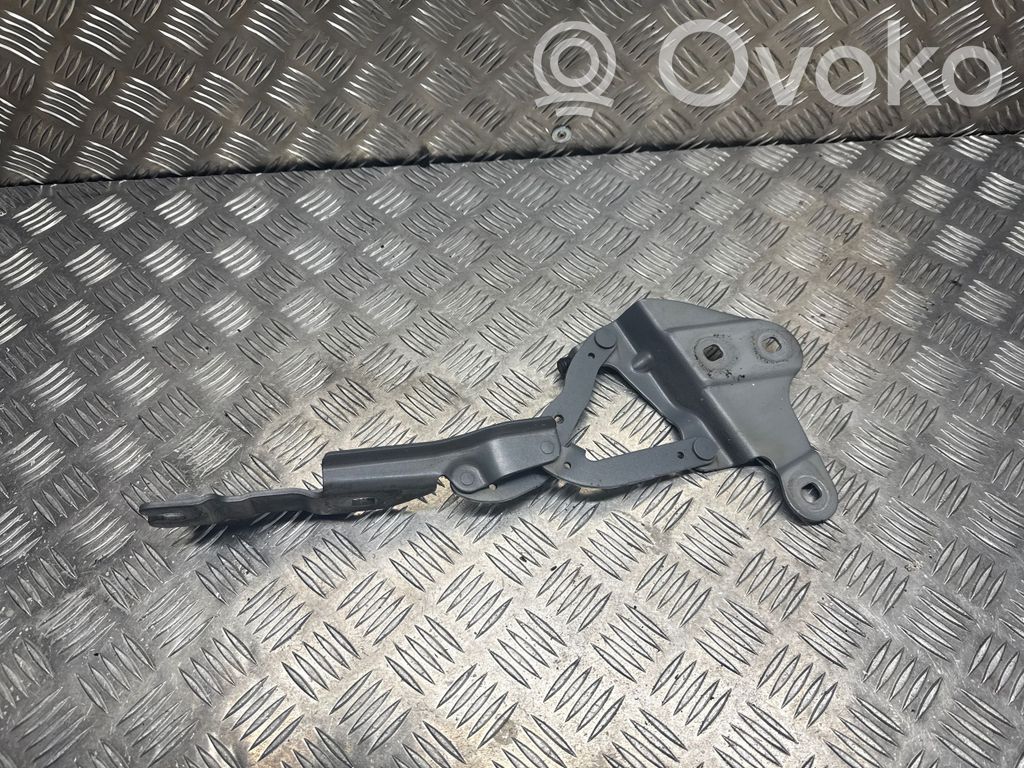 BMW X1 E84 Engine bonnet/hood hinges 