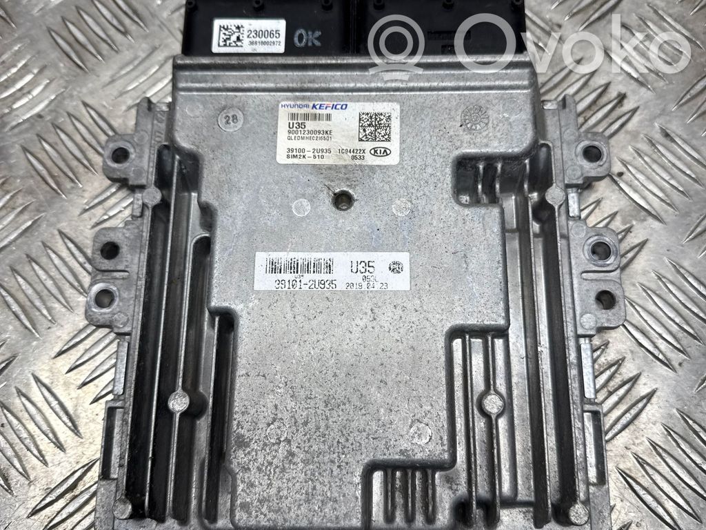 KIA Sportage Engine control unit/module 