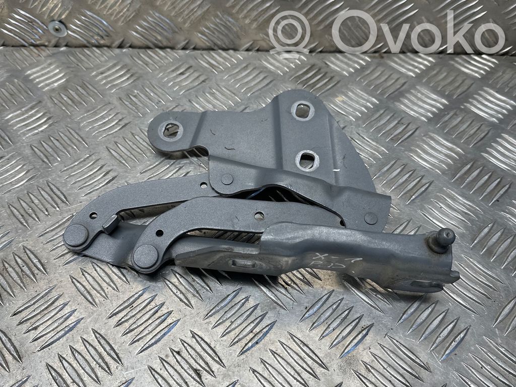 BMW X1 E84 Engine bonnet/hood hinges 