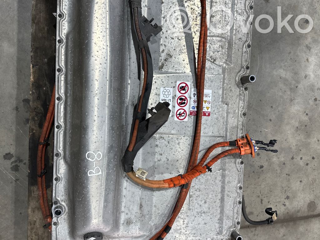 Volkswagen PASSAT B8 Hibrido/ elektromobilio akumuliatorius 