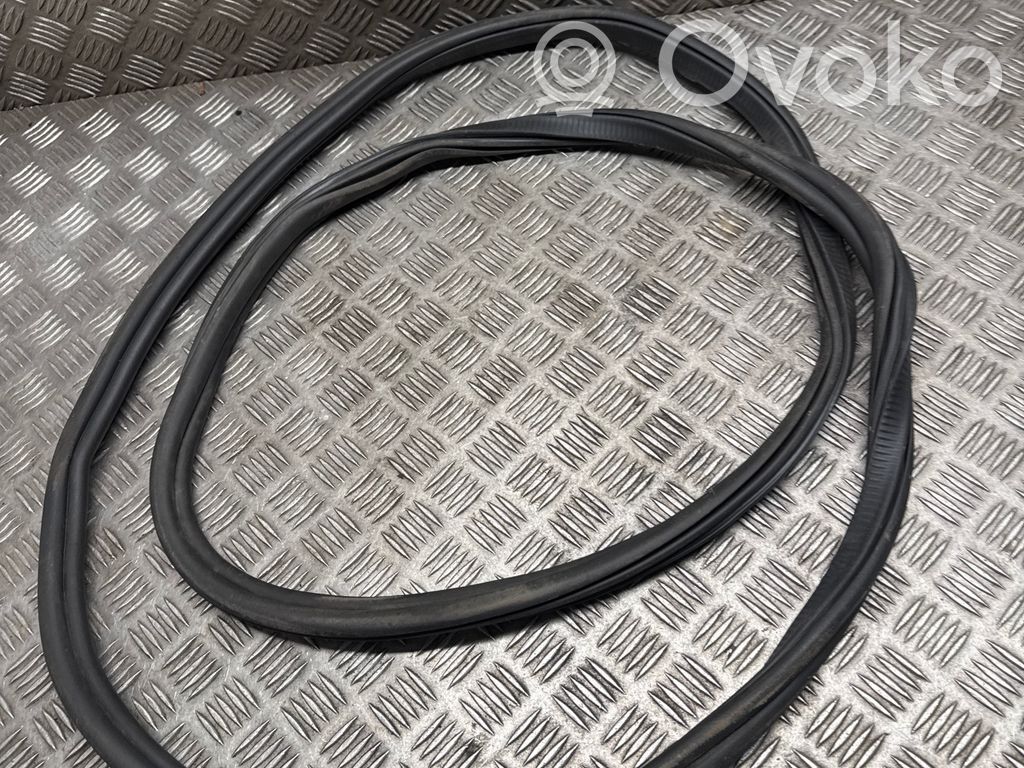 BMW X6 G06 Etuoven kumitiiviste 