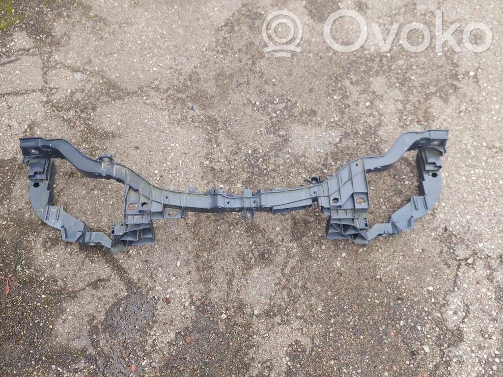 Radiatoru panelis   BM518B041B
