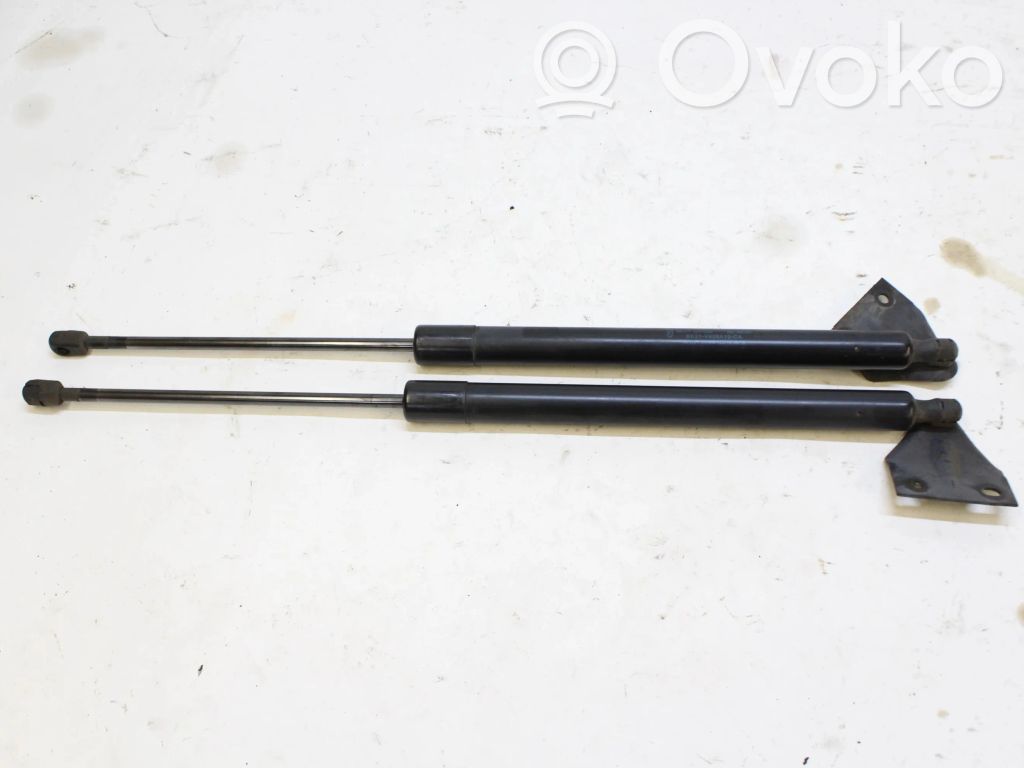 Heckklappenstrebe   BK21V406A10CA
