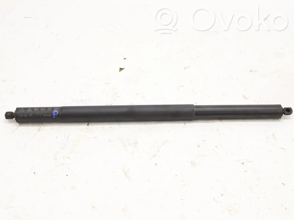 Tailgate strut   5E7827780C