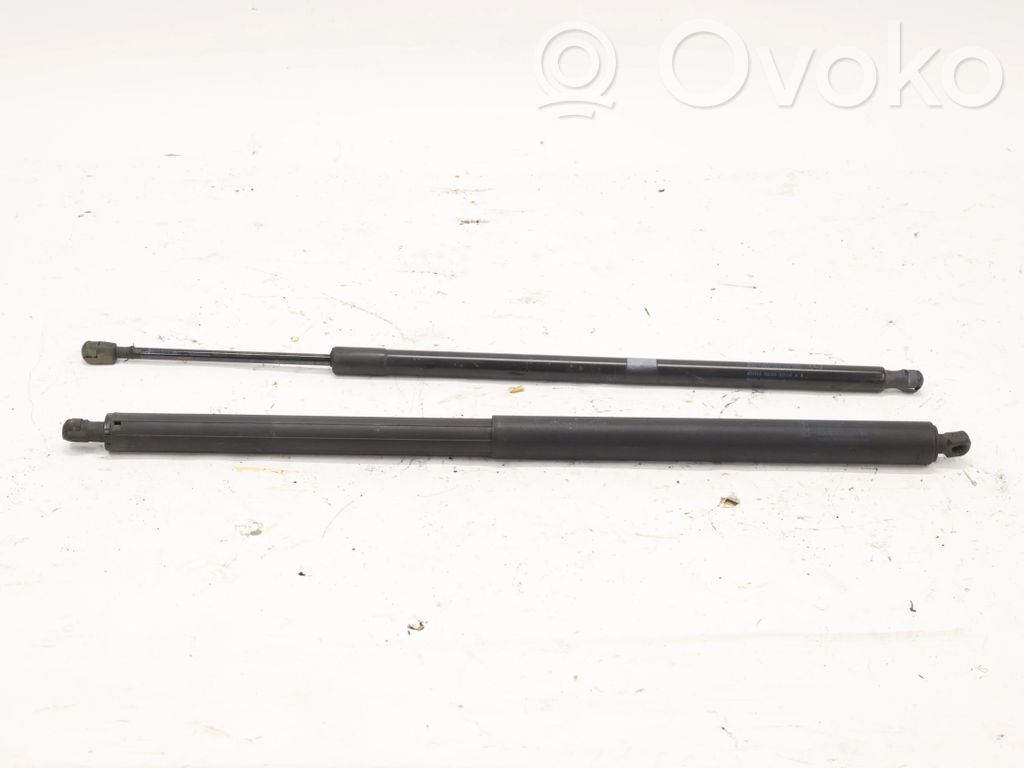 Ford S-MAX Tailgate strut 