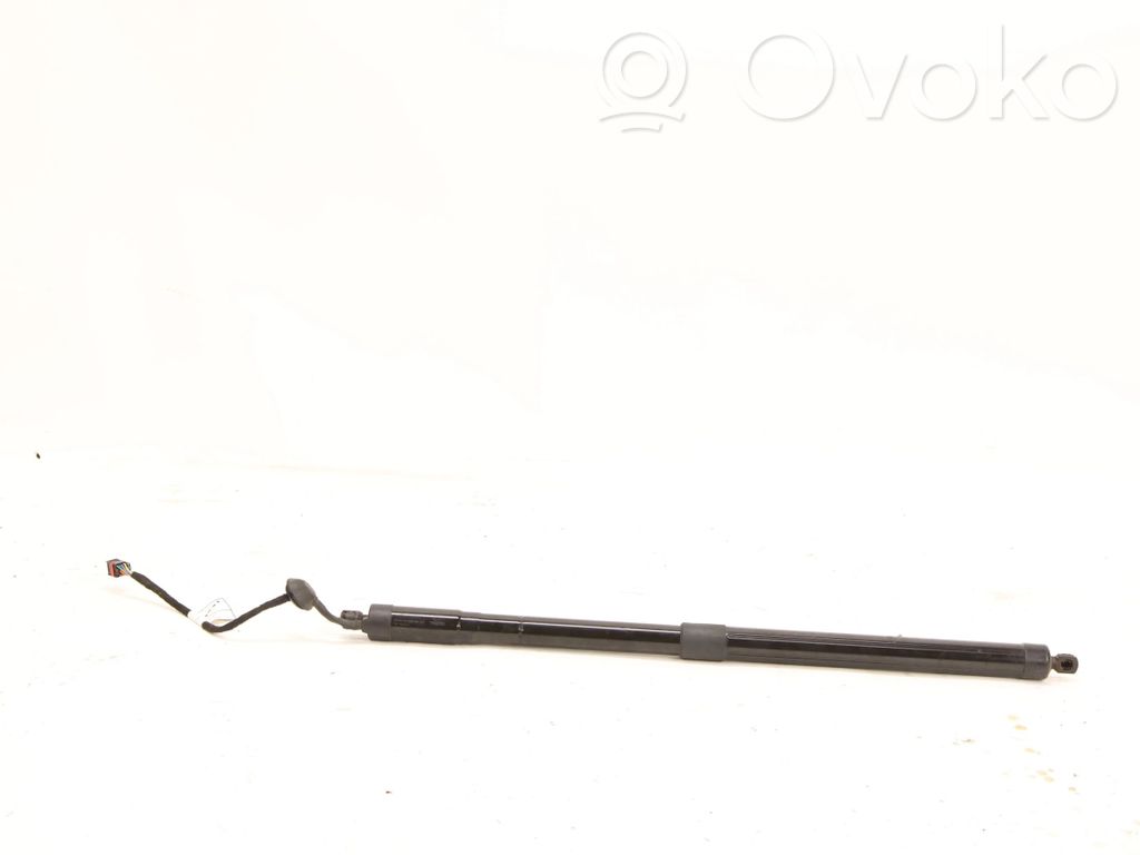 Tailgate strut   32296915