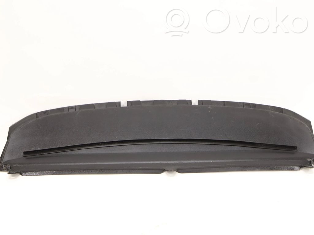 Etupuskurin reuna   1K8805903A