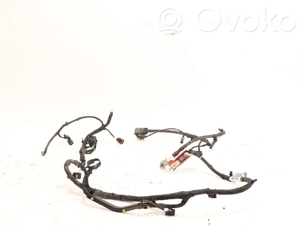 Ford Focus Otros cableados 