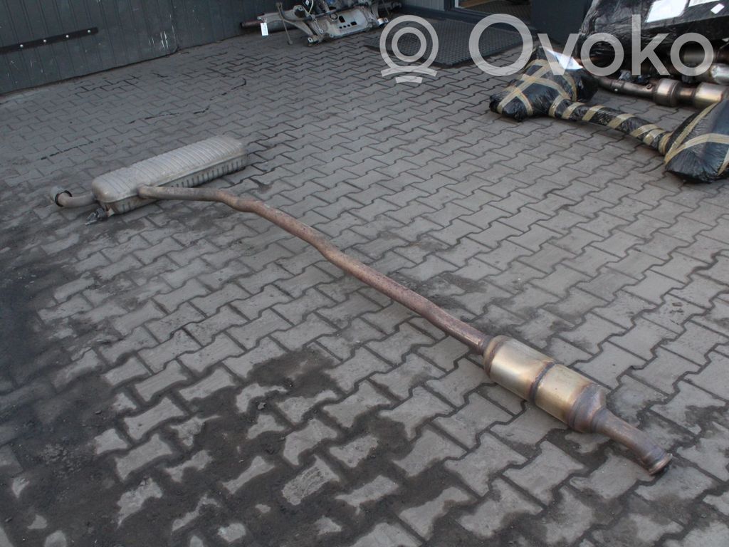 Galinė pūslė   8690794