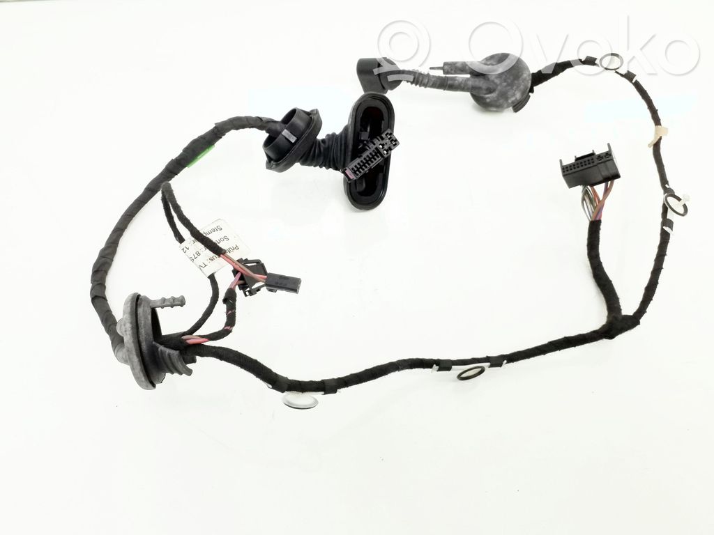 Audi A6 S6 C6 4F Cableado de puerta trasera 