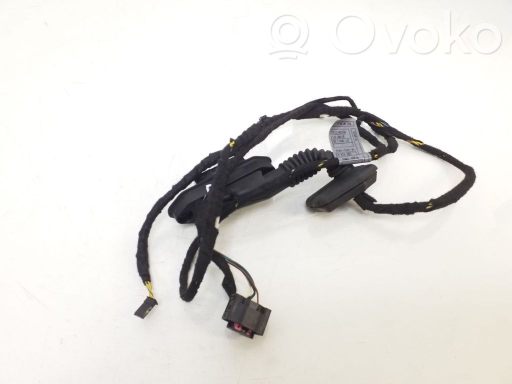 BMW 3 E46 Cableado de puerta trasera 