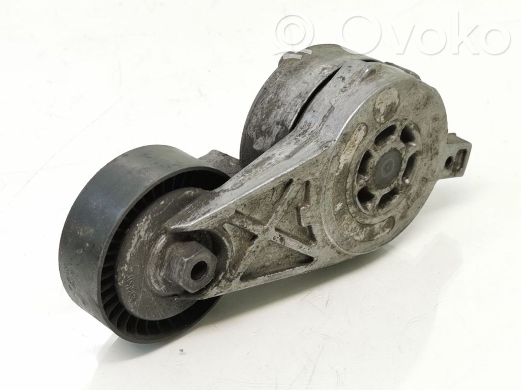 Volkswagen Golf V Napinacz paska alternatora 