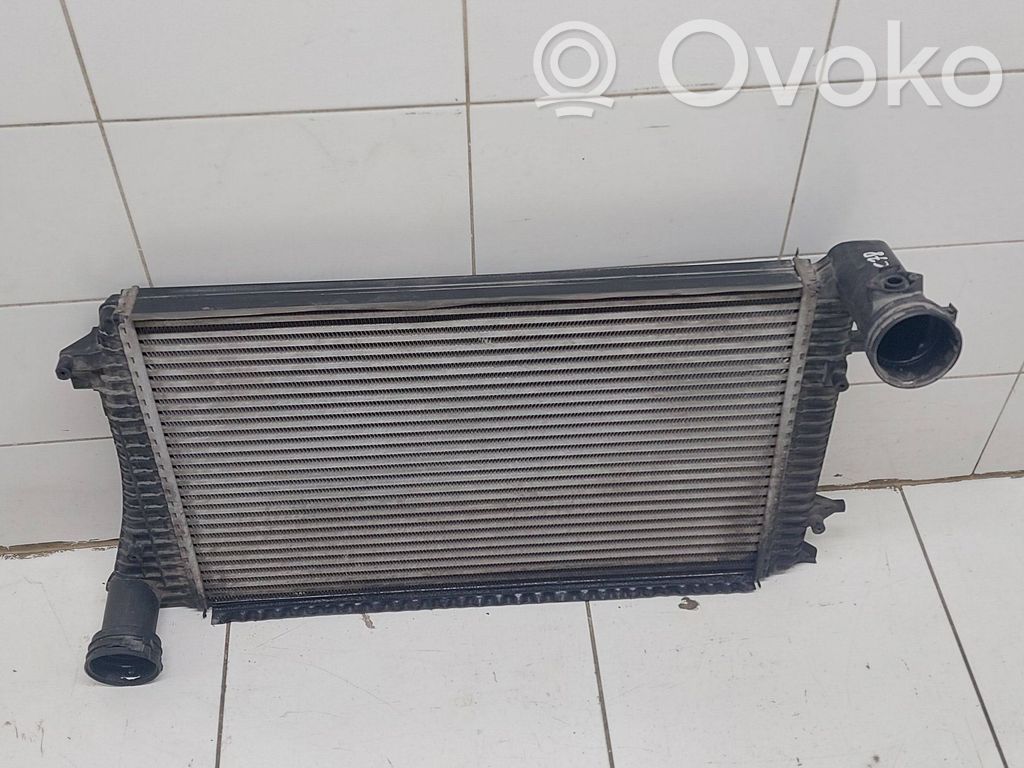 Volkswagen PASSAT B6 Interkūlerio radiatorius 