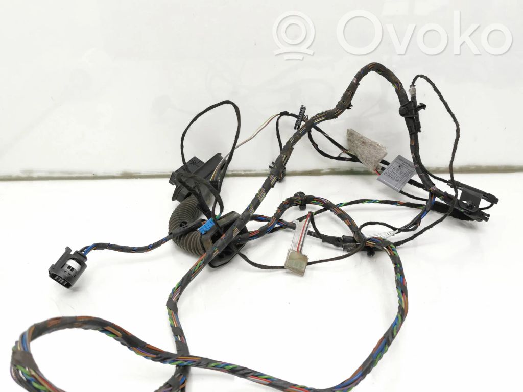 BMW X5 E70 Cableado de puerta trasera 