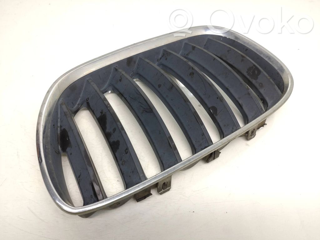 BMW X5 E53 Front bumper upper radiator grill 