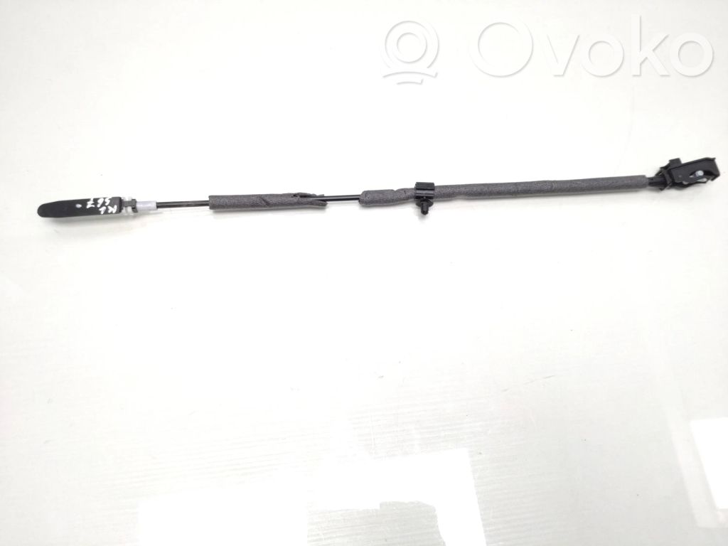 Ford Focus Línea de cable de puerta trasera 