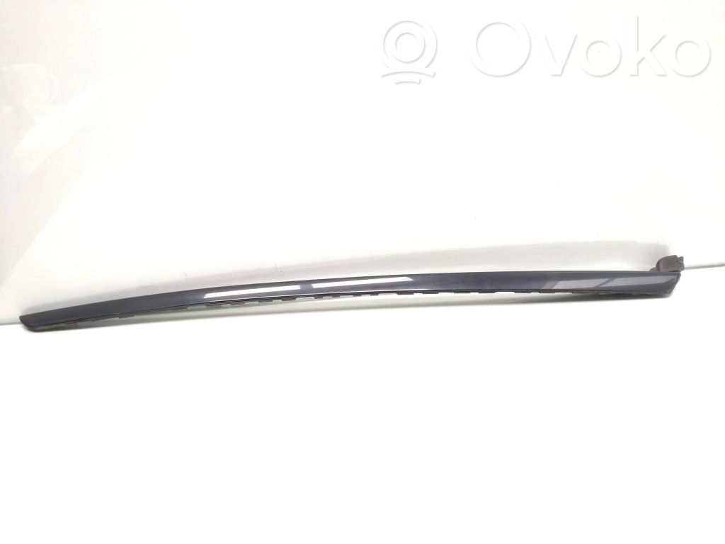 Windshield trim   96563473XC
