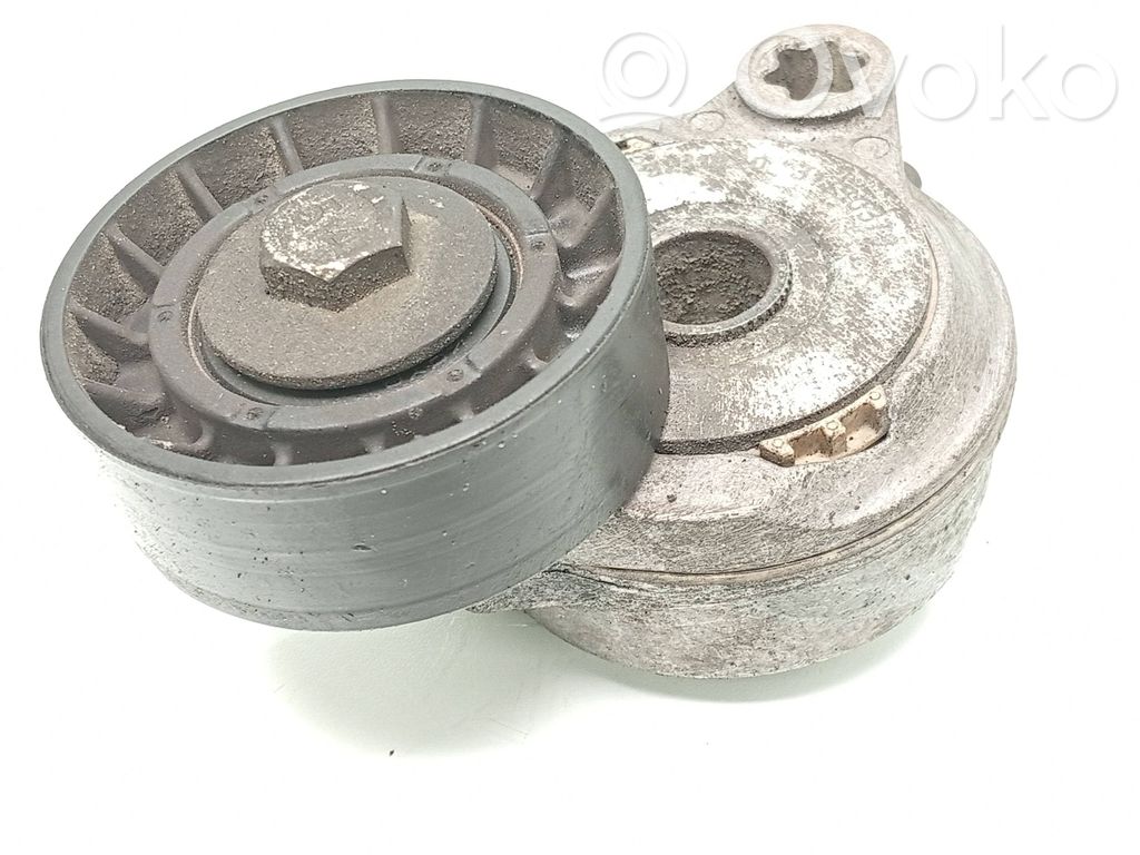 Volvo S80 Întinzător curea generator/alternator 