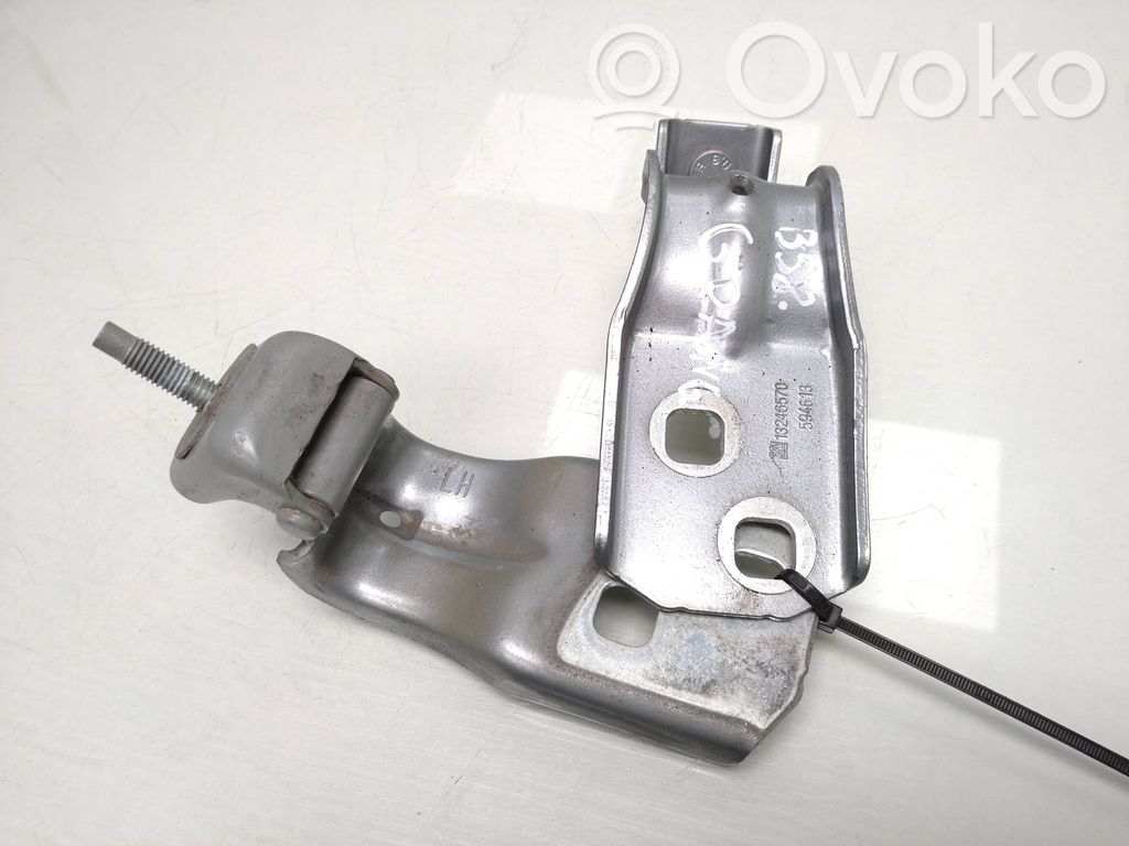 Loading door hinge set   13246569,13246570