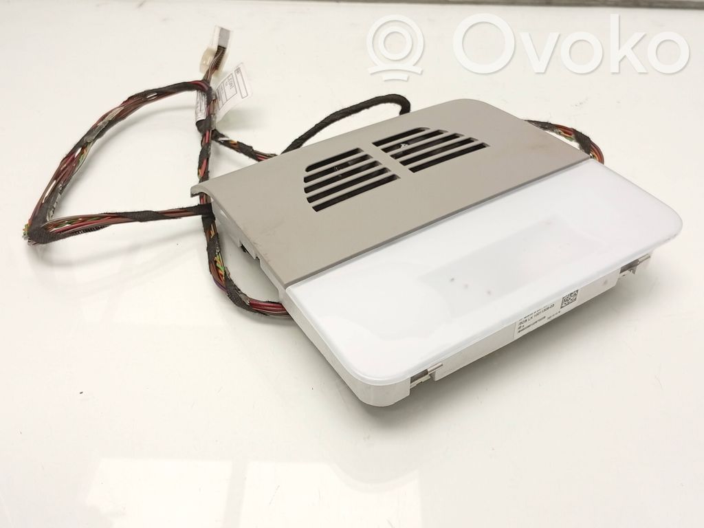 BMW X1 E84 Rear seat light 