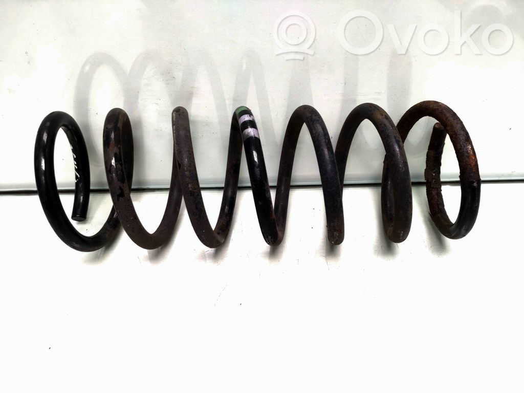 Rear coil spring
