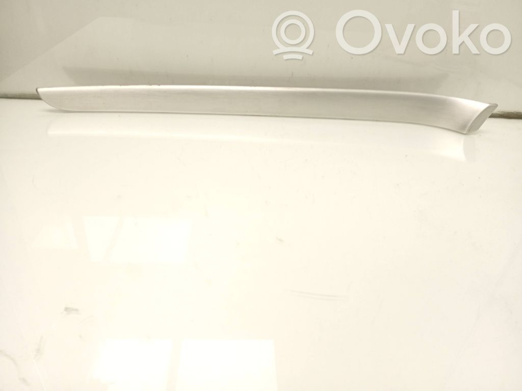 Audi A4 S4 B7 8E 8H Ramă panou ușă față 