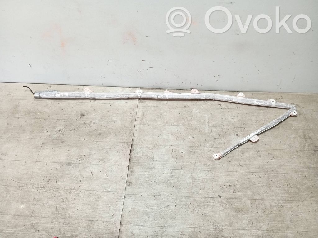 Audi A4 S4 B7 8E 8H Airbag da tetto 