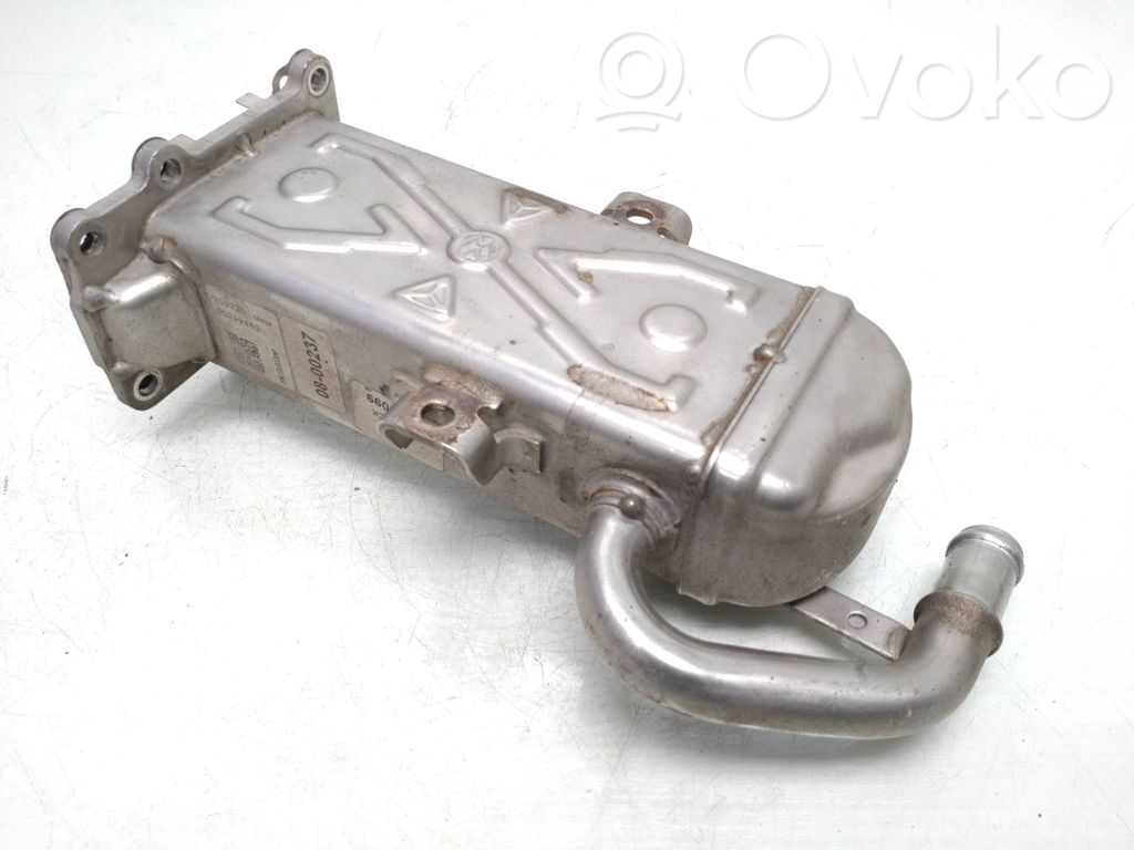 Volkswagen PASSAT B7 Valvola di raffreddamento EGR 