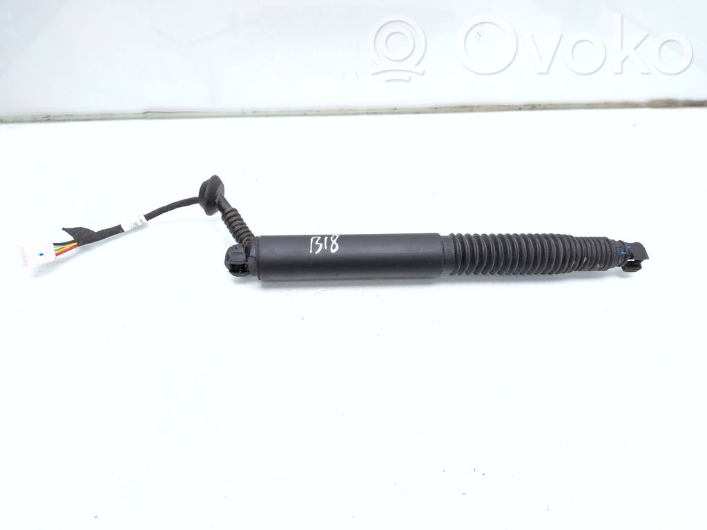 Tailgate/trunk strut/damper   155148800C