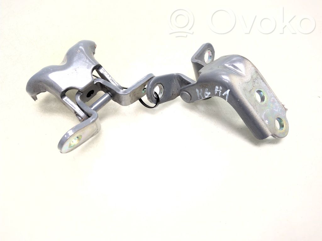 Hyundai Ioniq 5 Rear door hinge set 