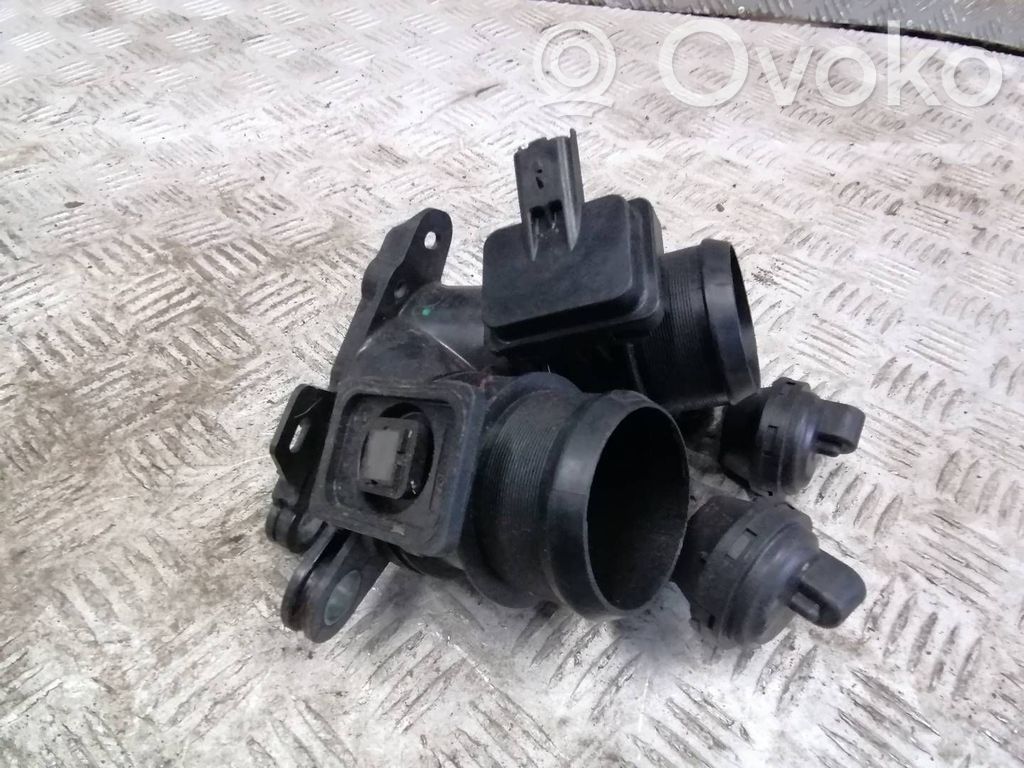 Citroen C5 Elektrische Drosselklappe 