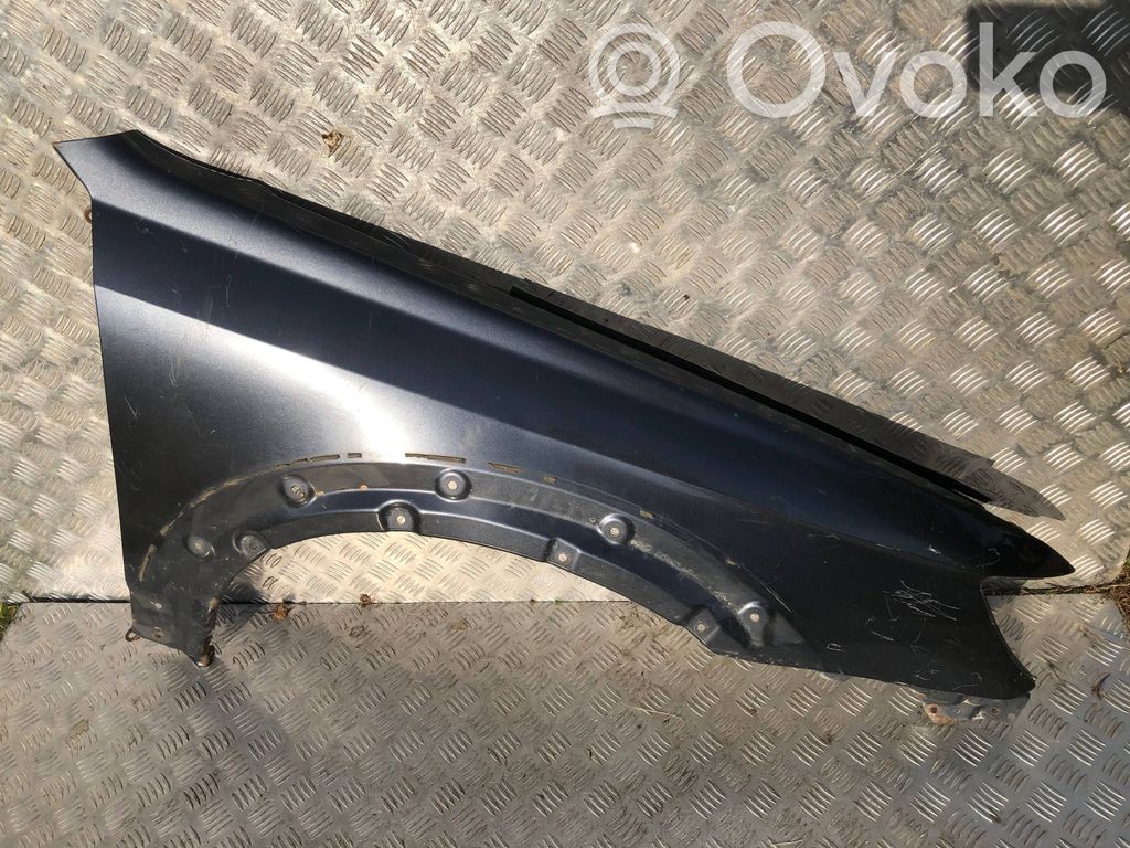 Fender