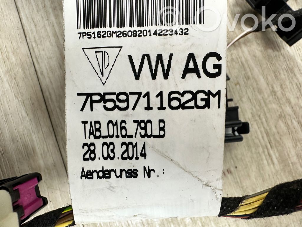 Porsche Cayenne (92A) Cableado de puerta delantera 