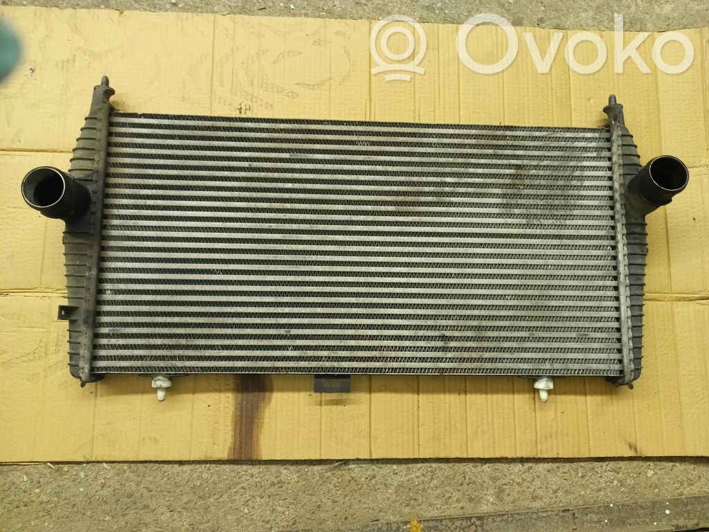 Peugeot 607 Intercooler radiator 